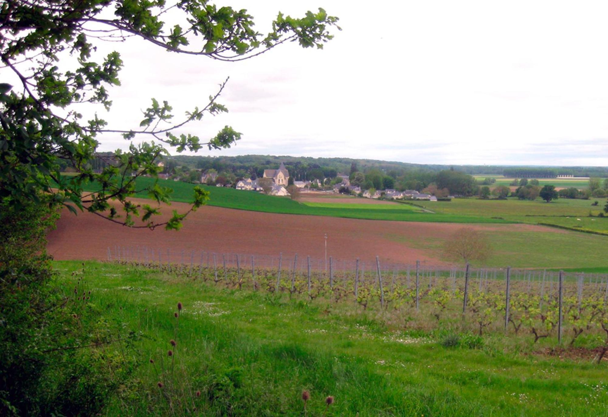 La Butte De Gohier Bed & Breakfast Blaison Exterior photo