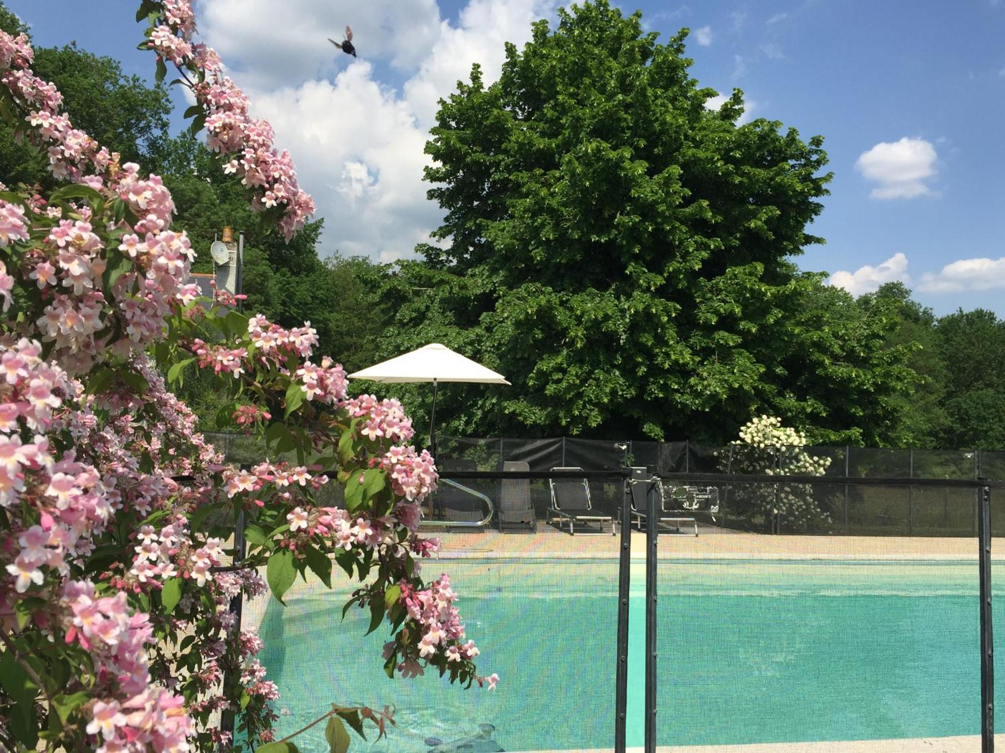 La Butte De Gohier Bed & Breakfast Blaison Exterior photo